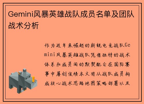 Gemini风暴英雄战队成员名单及团队战术分析